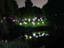 Hunter Valley Christmas Lights 2022 Image -639a38f07151b